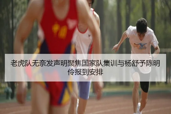 老虎队无奈发声明聚焦国家队集训与杨舒予陈明伶报到安排